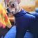 imageUrl_8
