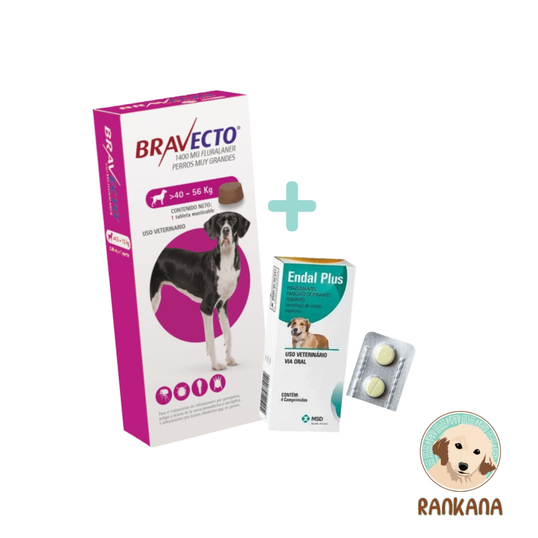 Antipulgas Bravecto para Perros de 40 a 56 Kg + Gratis Endal Antiparasitario x6 Und