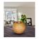 imageUrl_4
