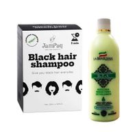 Shampoo Capilar Cubrecanas negro + Máscara reductor de volumen