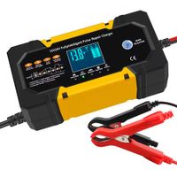 Cargador de Batería para Carro Auto Camión de 12V 10A y 24V 5A Inteligente.