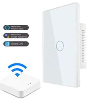 Interruptor Inteligente Alexa Google Smart Wifi 1 botón