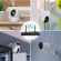 imageUrl_6