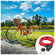 imageUrl_4