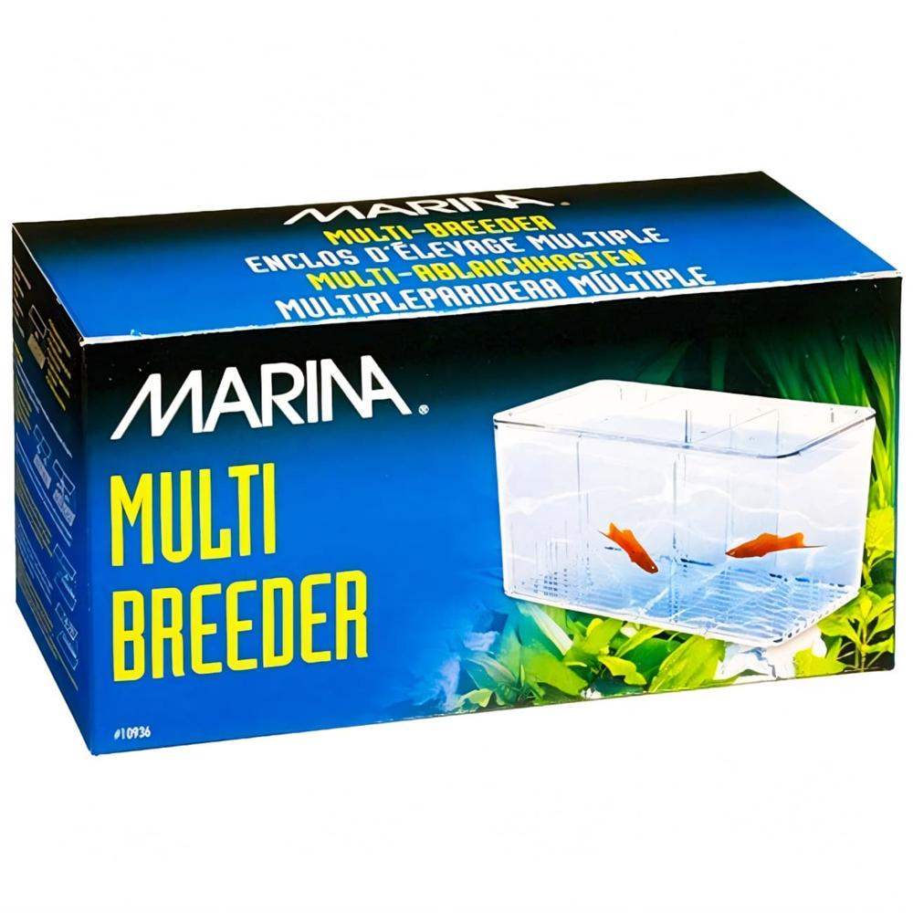 Maternidad múltiple - bettero acuarios Hagen