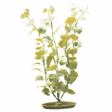 image-957b6a83f456446ca1ecd351d96ef1a3