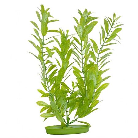 image-e67e5ec2b88c4e5ca2ef76231b81afea