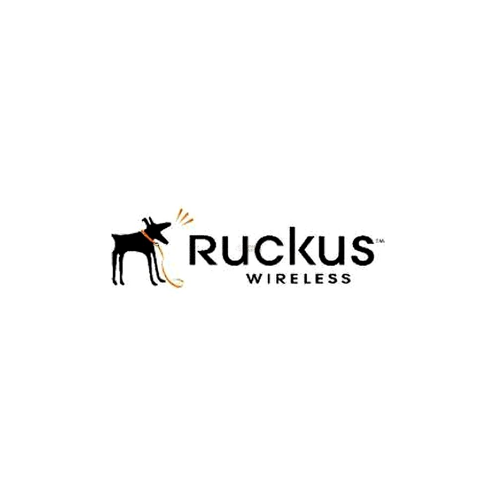 Licencia Ruckus Partner Watchdog para ZoneDirector 1106 - Actualización 1 AP, 1 Año de Servicio