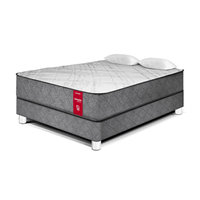 Cama Paraíso Lifestyles Pocket 2 Plazas Plata
