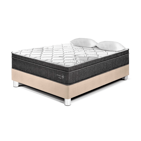 Cama Pocket Star 2 plazas Champagne Paraiso