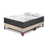 Cama Europea Pocket Star Queen Champagne Paraiso