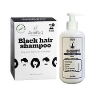 Shampoo Capilar Cubre Canas negro + Shampoo sin Sal Anticaida