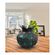 imageUrl_4