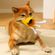 imageUrl_2
