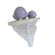 imageUrl_8