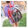 imageUrl_7