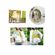 imageUrl_6