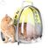 imageUrl_9
