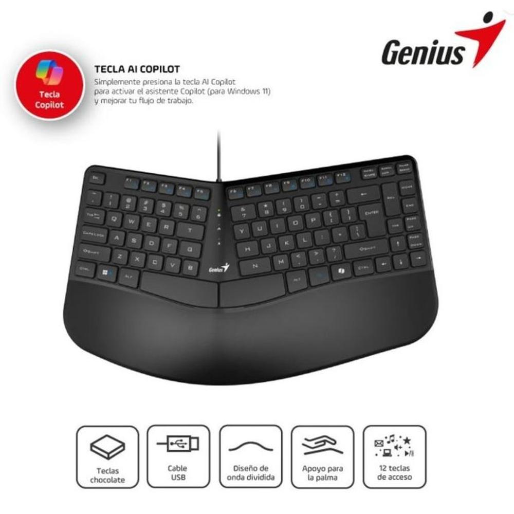 Teclado Genius Ergo Kb-700 CTecla Copilot