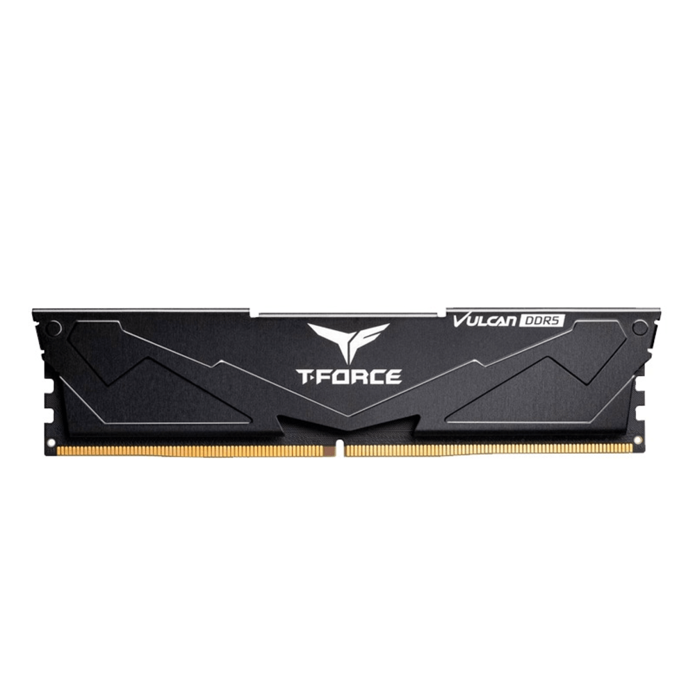Memoria TEAMGROUP T-Force VULCAN DDR5 16GB DDR5-5600 MHz