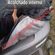imageUrl_5