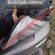 imageUrl_4