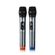imageUrl_1