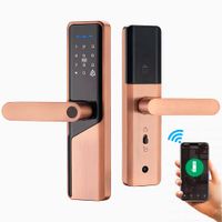 Cerradura Inteligente Smart Chapa Biometrica Digital Wifi Dorado X12