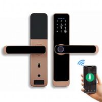 Cerradura Inteligente Smart Chapa Biométrica Digital Wifi Dorado A15