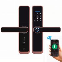Cerradura Inteligente Smart Chapa Biometrica Digital Wifi Dorado X9
