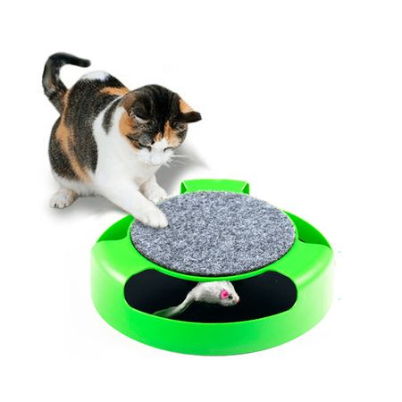Juego Atrapa Ratón Interactivo para Gatos