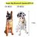 imageUrl_2