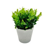 Arreglo de Eucalipto 00130-1 FLORIPASTORE