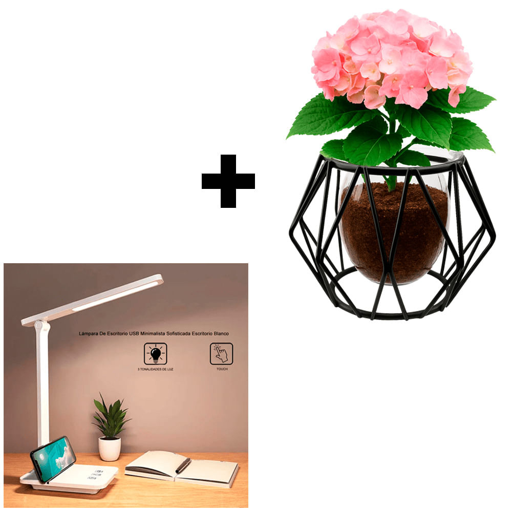 Set Hogar Moderno Macetero Nórdico Negro + Lámpara USB Touch Blanca