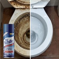 LIMPIADOR DE BAÑO MR WHITE
