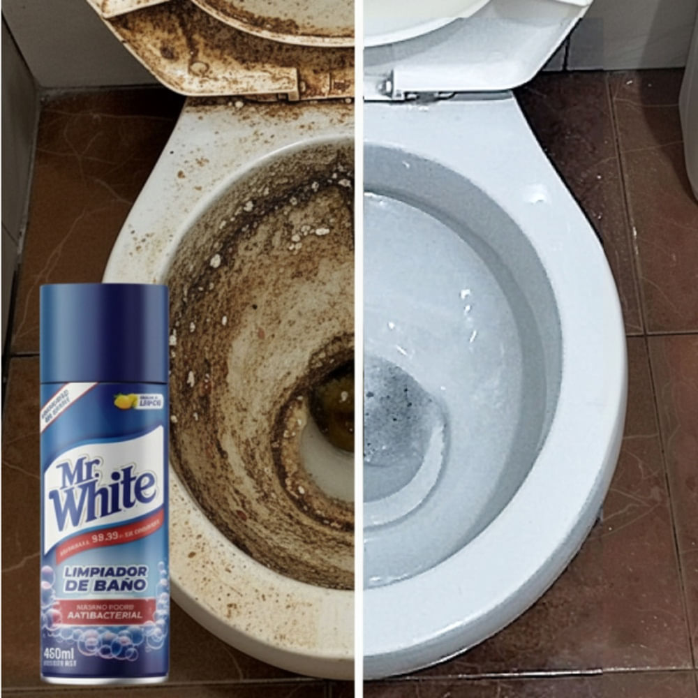 LIMPIADOR DE BAÑO MR WHITE