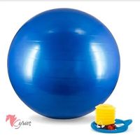 PELOTA DE YOGA 65 CM Standard Multicolor