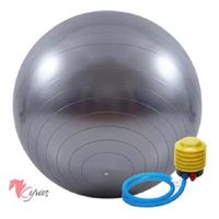 Pelota De Yoga 75 Color Griss