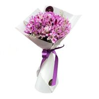 Ramo Melia- Astromelia Morada -  Ramo de Flores