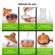 imageUrl_5