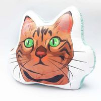 Almohada Decorativa - Qala Diseño - Gato Atigrado