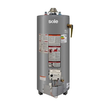 Termotanque a Gas Sole GLP Acumulación Tipo B 280L Plata