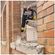 imageUrl_8