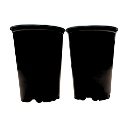 image-8550b337bf634185abb2288975db950f