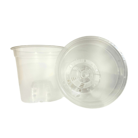 image-8c80baacf2a04da3a2544c22ff0d46ac