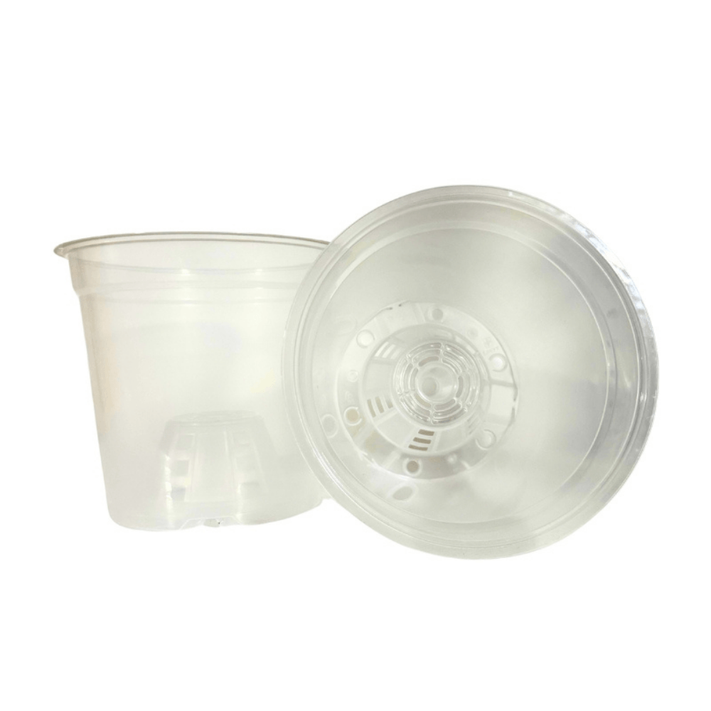 Maceta Transparente 17cm Green Supply