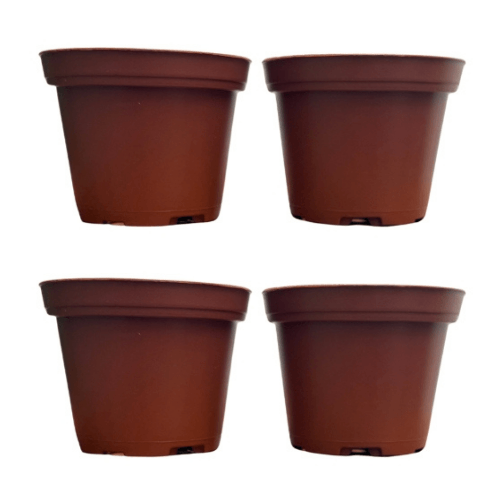 Pack 4 Macetas de Siembra 6cm Green Supply