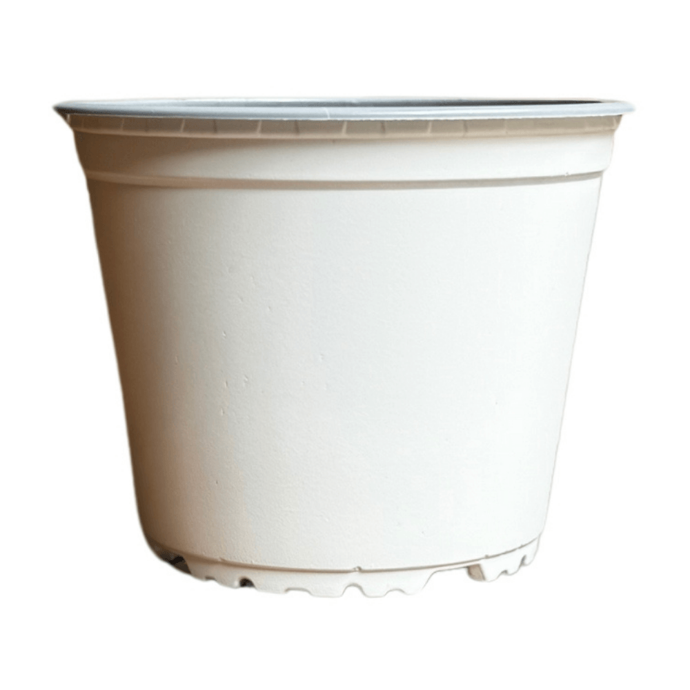 Maceta Basica Blanca 19 Cm Green Supply