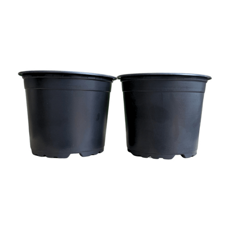 image-68d263ab848d4336b412fe5d38597d99