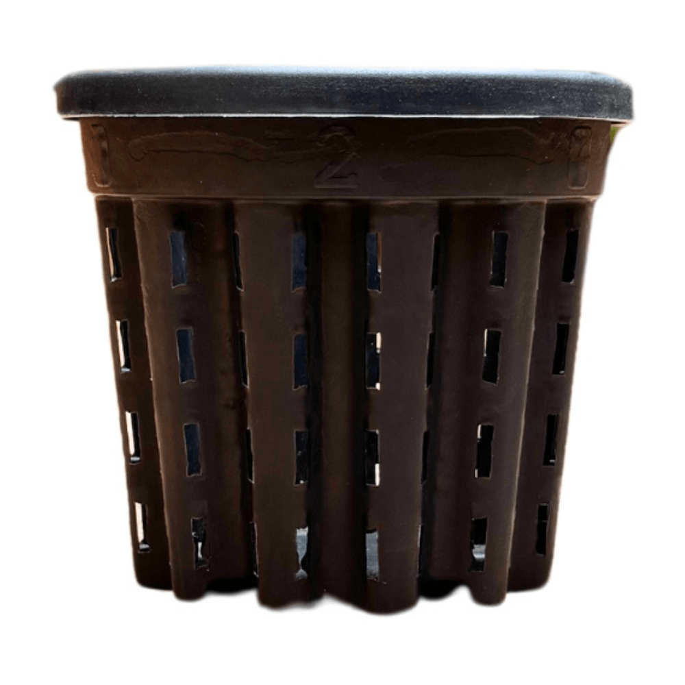 Maceta Basica Negra 2L Green Supply